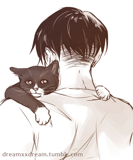 dreamxxdream:  Today I want to introduce the most important character of my reincarnation AU. Meet Mr Whiskers, Levi’s cat.Little Mr Whiskers moved in with Levi thanks to Isabel who found him on the street as a kitten and named him. Mr Whiskers isn’t