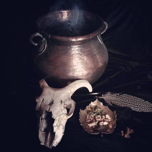 occvlta: © OccvltaOccvlta series of psychoactive incenses based on ancient recipes will be avai