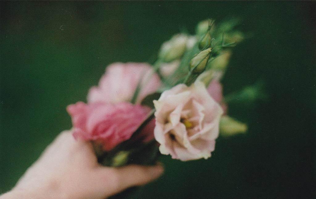 floralls:(by sara.robin) 