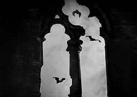 spankjonze:The spider spinning his web for the unwary fly. The blood is the life, Mr. Renfield.Dracu