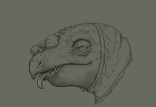 Working on the headshots of the canon skeksis, a fun challenge between myself and @skekfen-the-apoth