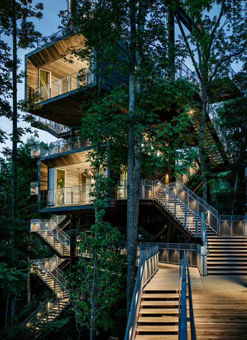 Mithun - Sustainability Treehouse (Boy Scouts Of America)