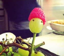 shodobear:  stunningpicture:  A grape, wearing