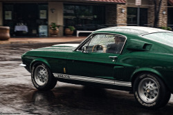 desertmotors:  Ford Shelby GT500 Mustang