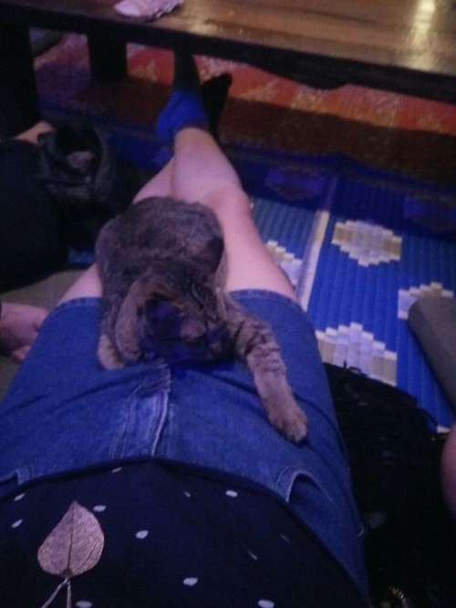 alexlikesdresses:And I’ve made a new friend!!Ahhh!!