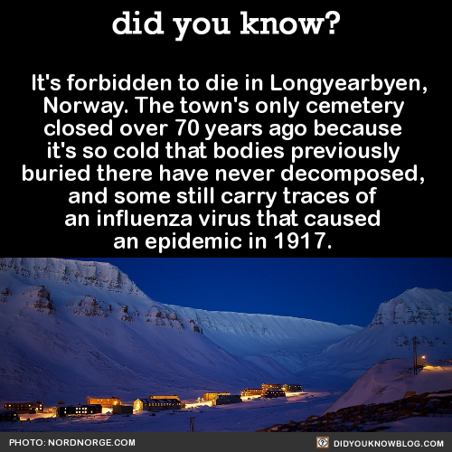 did-you-kno:It’s forbidden to die in Longyearbyen, Norway. The town’s only cemetery closed over 70 y