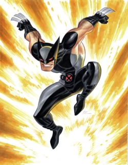redcell6:  Wolverine by Bruce Timm
