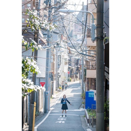 #portrait #photograph #photoshoot #japanese #japaneseview #schooluniform #girl #spring #架空荘 #kakuuso