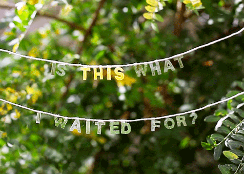 Is This What I Waited For? Pt. II from Secrets I Tell the Trees  (on Instagram) by Marisa Renee Each