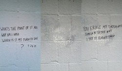 acidics:  circumsigh:  they erased my writing :(  stop writing shit like this in public places and making someone’s job harder because they have to clean up after your crusty existential crisis havin ass 