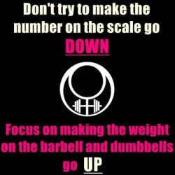 Grass-Fed-Fitness:  Dont Worry About The Scale Weight Going Down, Focus On Getting