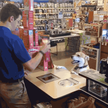 gifsboom:  Be Careful With Who Does Your Back-to-School Shopping. [video]   I find