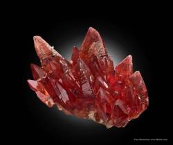 ifuckingloveminerals:  Rhodochrosite, ManganiteN'Chwaning I Mine, Kuruman, Northern Cape Province, South Africa