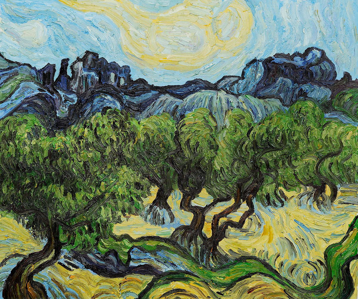 picassofanclub:Olive Trees, Van Gogh