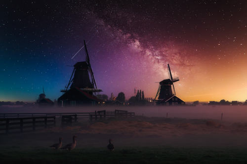 drxgonfly:Night & Starry Night (by Alexander Schitschka) Photographer’s Website | Flickr | 500px