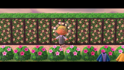 pix Rose Garden Ideas Acnh animal crossing qr closet white