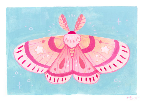 electricgale:Painting moths is just so fun for some reason!