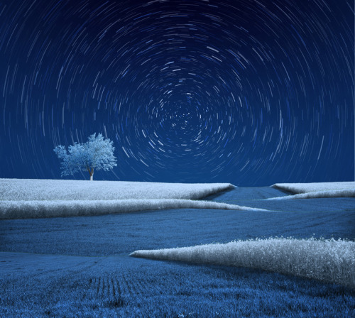 ByCaras Ionut