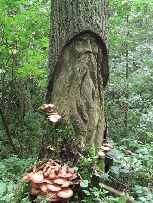 celtic-forest-faerie:{Magical Oak} by {Under An English Sky} 