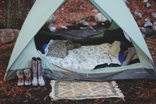 lyricalsycamore:  untitled by Sophie Haber on Flickr. 