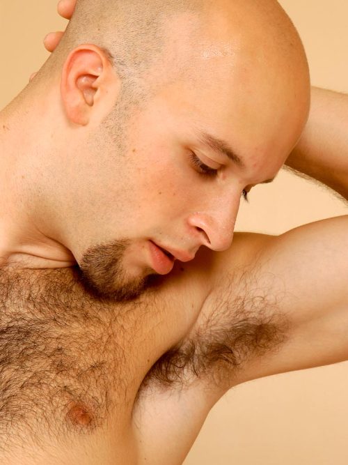 Jockstrap Bear's Jock Itch