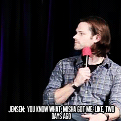 jensenacklesmishacollins:  Jared, I need to sit down with you and talk! 