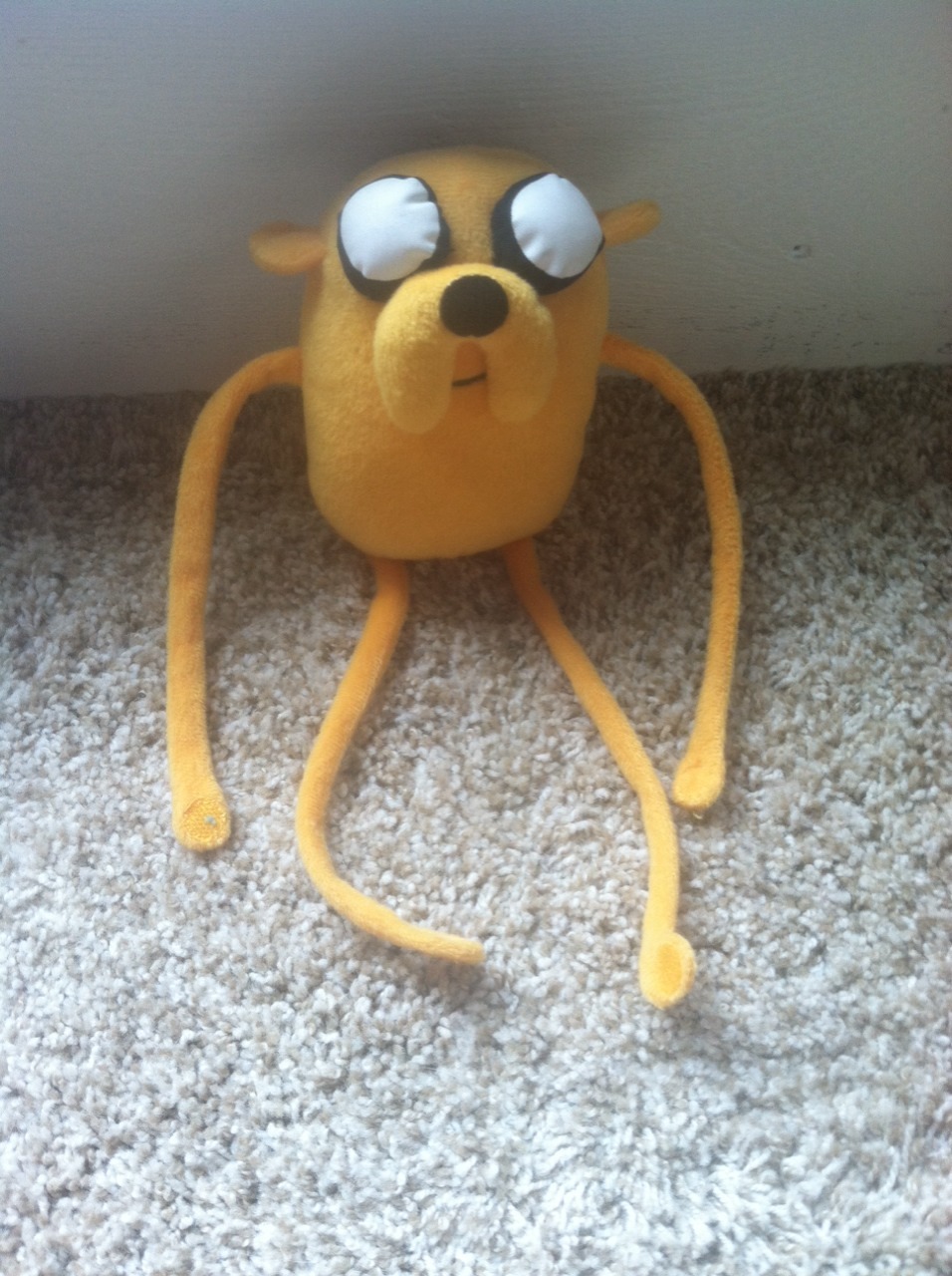 icosplayforme:  Adventure Time Give away!!!! 1st place- Finn cosplay, (Shirt, pants,