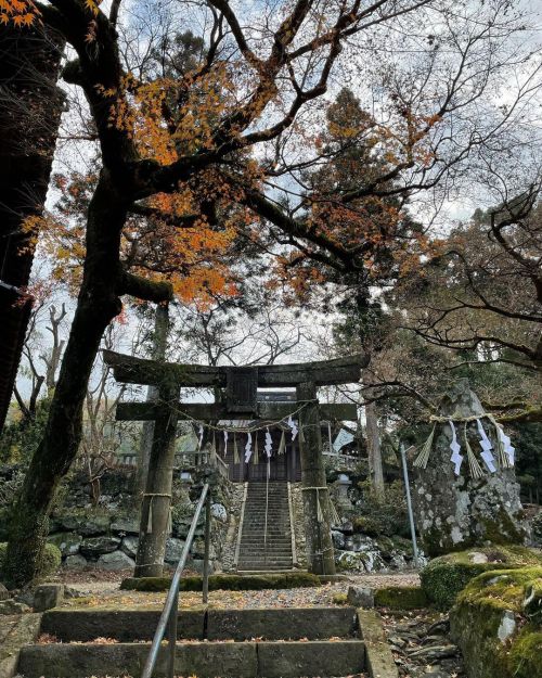 . #福岡 #久留米 #12月 #神社 (Kurume, Fukuoka) https://www.instagram.com/p/Cbm82mcvihu/?utm_medium=tumblr