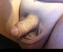 fatdisgustingpig666:  Small pathetic pig cock. When I’m hard I’m barely 4 inches. 