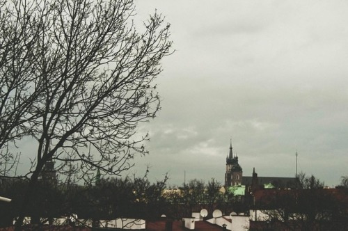 Krakow, Poland - - #poland #krakow #europe #travel #explore #wanderlust #travelphotography #canon #c