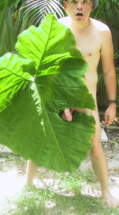 exposingexhibitionists: Follow me, if you don’t already. exposingexhibitionists.tumblr.