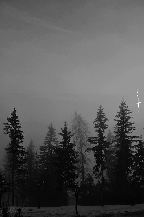 slowly-giving-up-everything:  Боль | via Tumblr on We Heart It - http://weheartit.com/entry/107228574