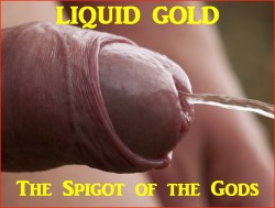 faggotssissiestraps:  liquid gold