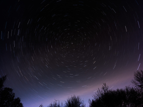 ardley: Earth’s Rotation around the North StarPhotographed by Freddie Ardley - Visit Print Shop