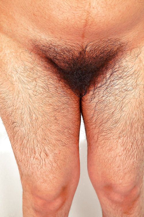 http://velter1.tumblr.com/post/100854030647