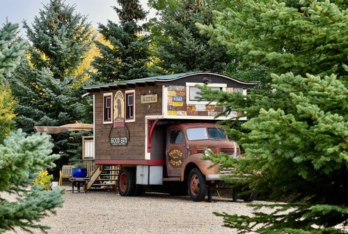 magicalhomesandstuff - I like the idea of this old truck,...