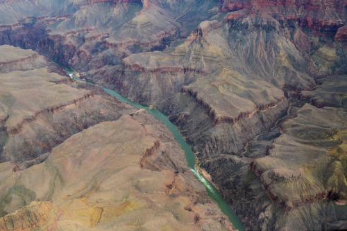 Three photos taken near the Grand Canyon. The first was taken very early in the morning in the woods