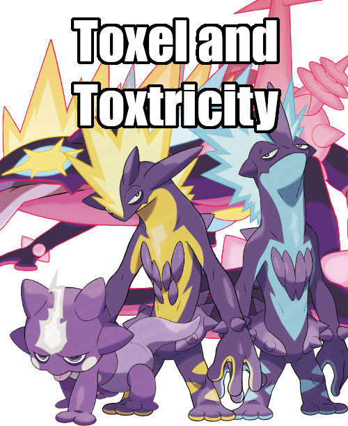 For the Toxel fans! : r/PokemonSwordAndShield
