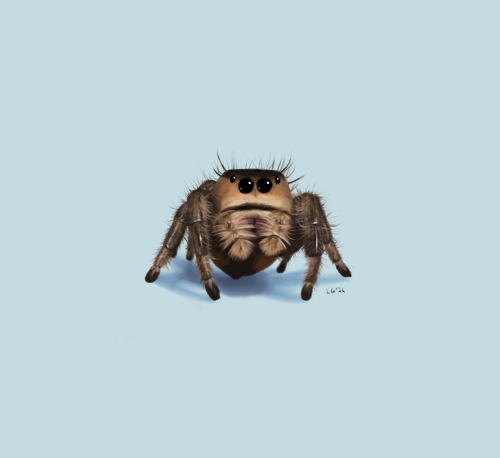 just a lil spider i went and painted 