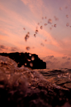 wonderous-world:  Espy by Sarah Lee