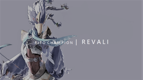 seiihun:Champions of Hyrule