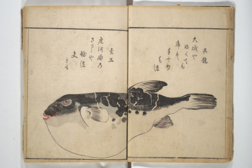 met-asian: by Kuwagata Keisai, Metropolitan Museum of Art: Asian ArtPurchase, Mary and James G. Wall