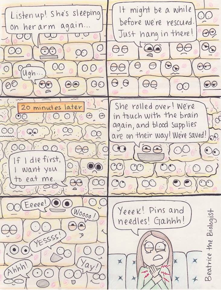 nursingisinmyblood:  anotherasianhilton:  So this is what happens when I sleep on