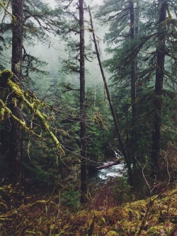 justapplyyourself:  Eagle Creek. Cascade