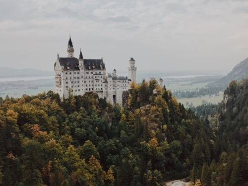 Porn photo triflingthing: a castle in the fall