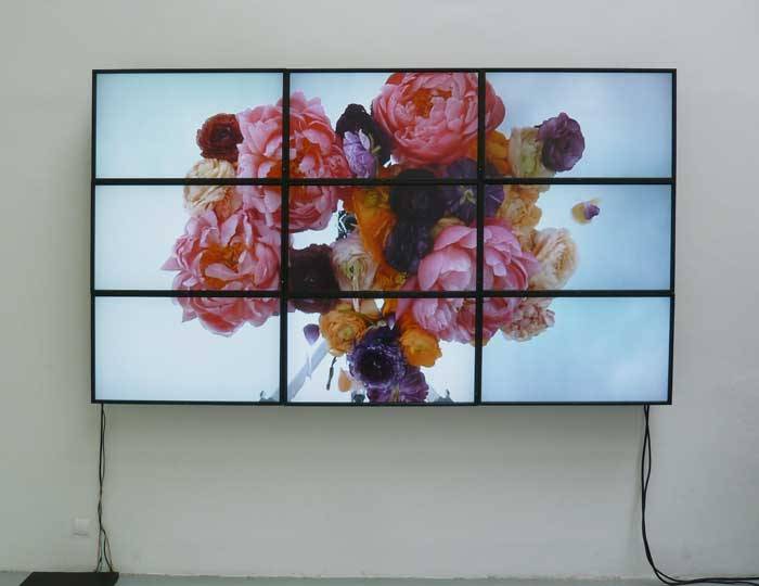 installationist:  Diana Thater Studio 
