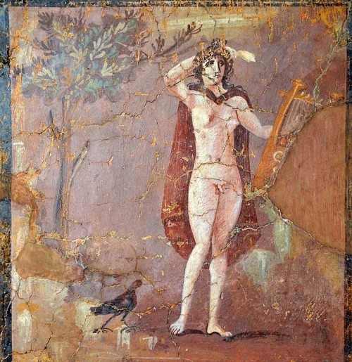Fresco Fragment Depicting Hermaphroditus