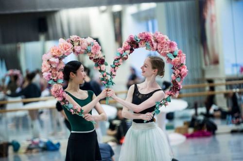 vintagepales - Artists of the Australian Ballet rehearse the...