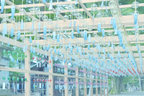 Glass Symphony