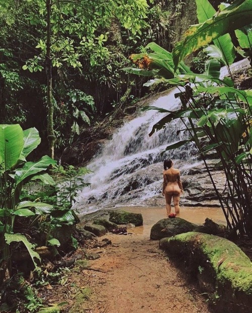 naturalswimmingspirit:bunda_lelePomerode - Trilha da Natureza